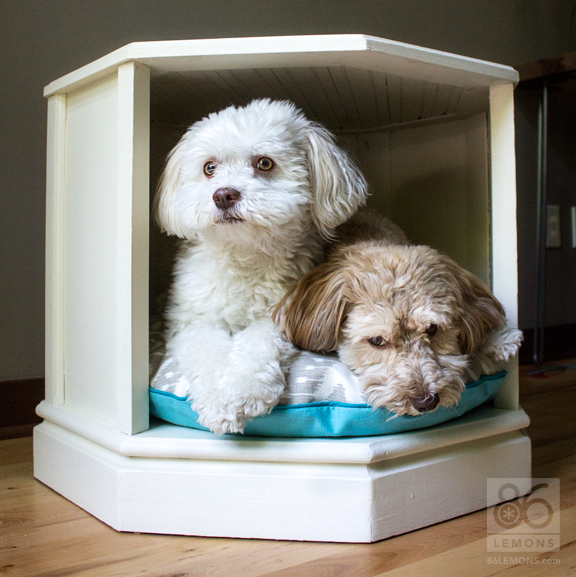 Two dogs laying in a DIY Dog bed
