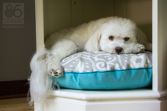 Dog bed made from old side table. #repurpose #furniture #dogbed #sewing #chalkpaint
