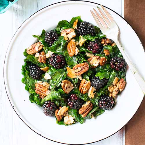Vegan Kale Salad With Blackberries And Toasted Coconut Pecan Clusters