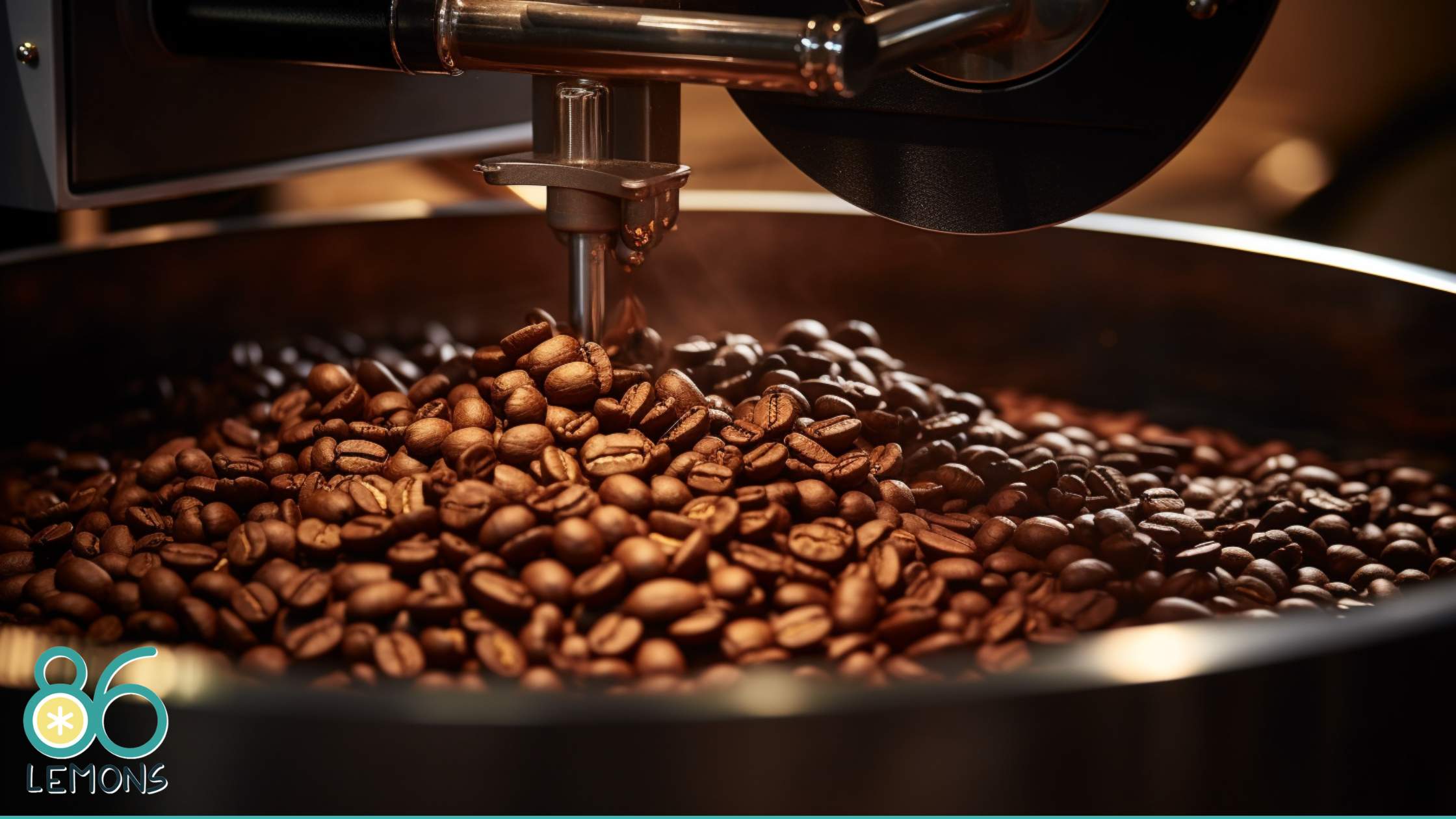 Is Coffee a Bean Or a Nut? Unveiling the Truth